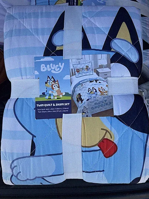 Bluey Twin Quilt & Sham Set Cartoon Pattern Kids Teens Bedding 100% Polyester
